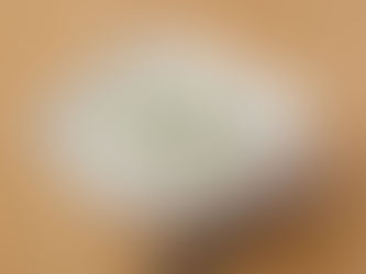 Garlic Pepper Curd Rice