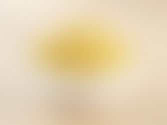 Nallennai Chilli Paruppu Podi