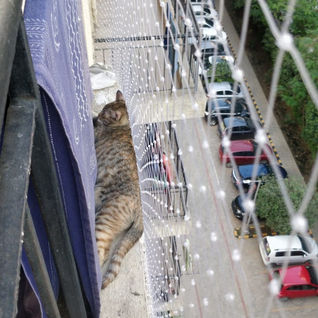 Shree Jagannath Safety Nets Call 9776611543_12.jpg