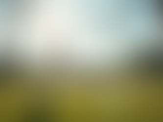 Best Practices for Cricket Net Sessions