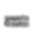 WEB2(1).png