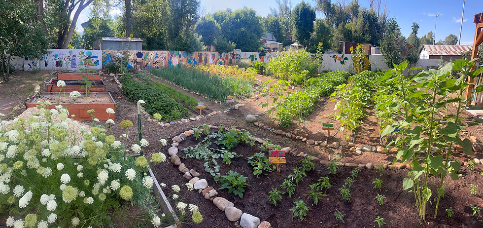 The garden that made it possible