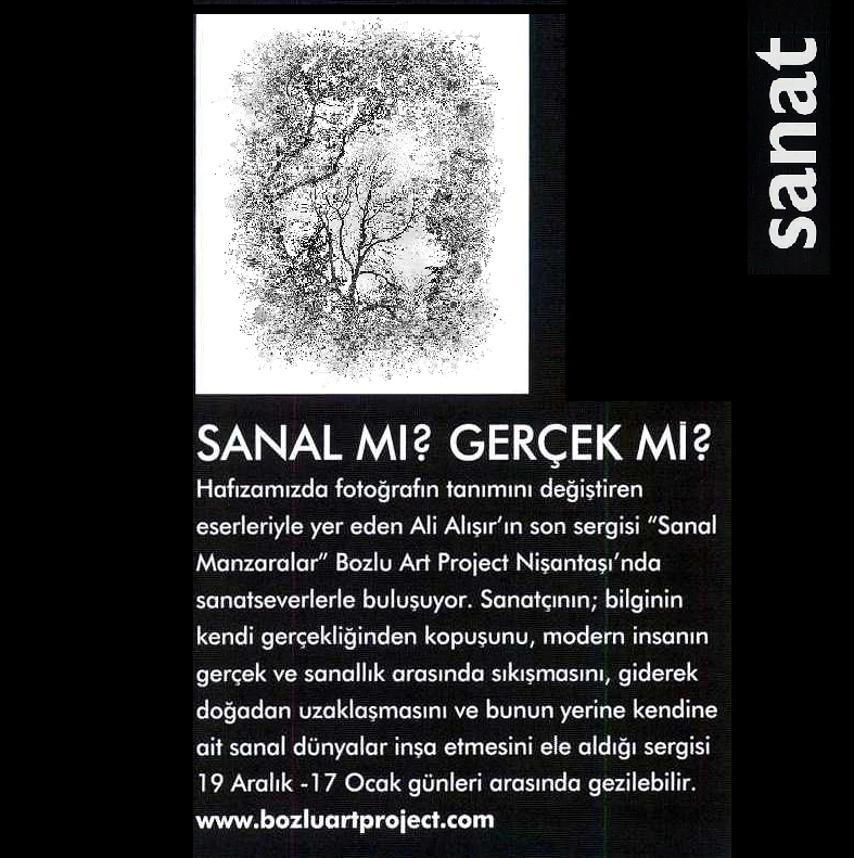 Home Art – 2015 — Ali Alışır