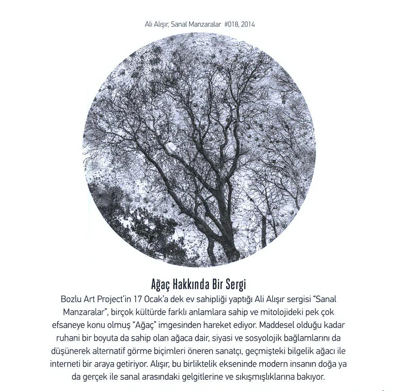 Genç Sanat -2015 — Ali Alışır