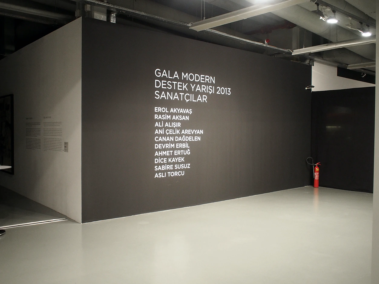 İstanbul Modern — Gala Modern, 2013 — Ali Alışır