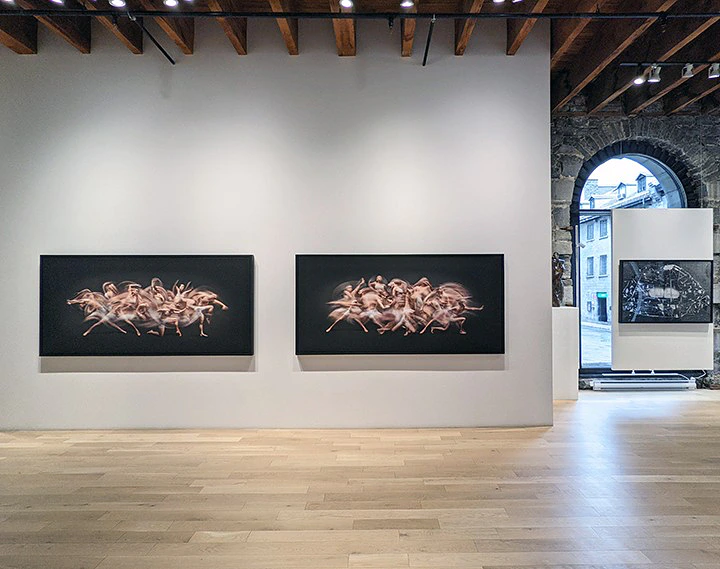 "Monochrome" Exhibition , Galerie LeRoyer 2021. — Ali Alışır