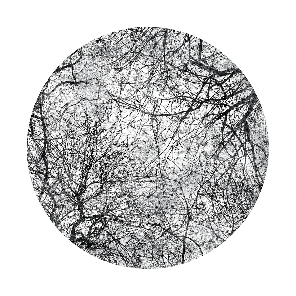 Virtual Landscapes — Ali Alışır