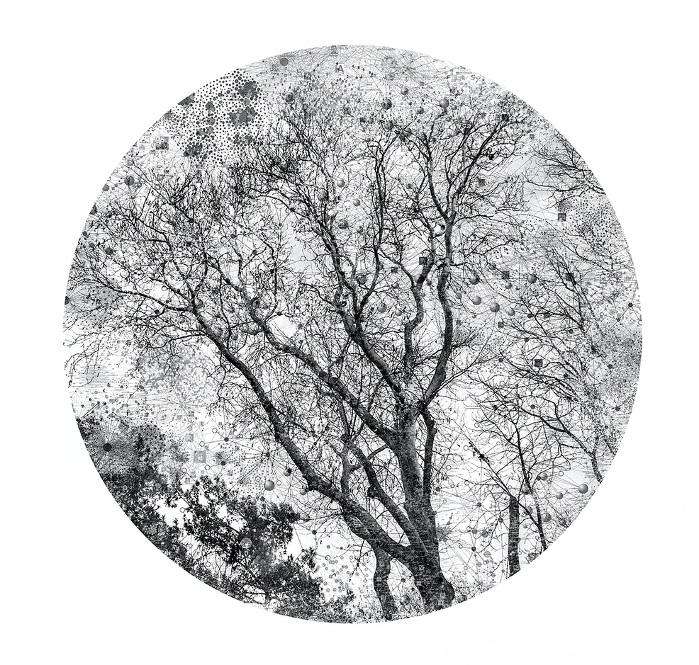 Virtual Landscapes — Ali Alışır