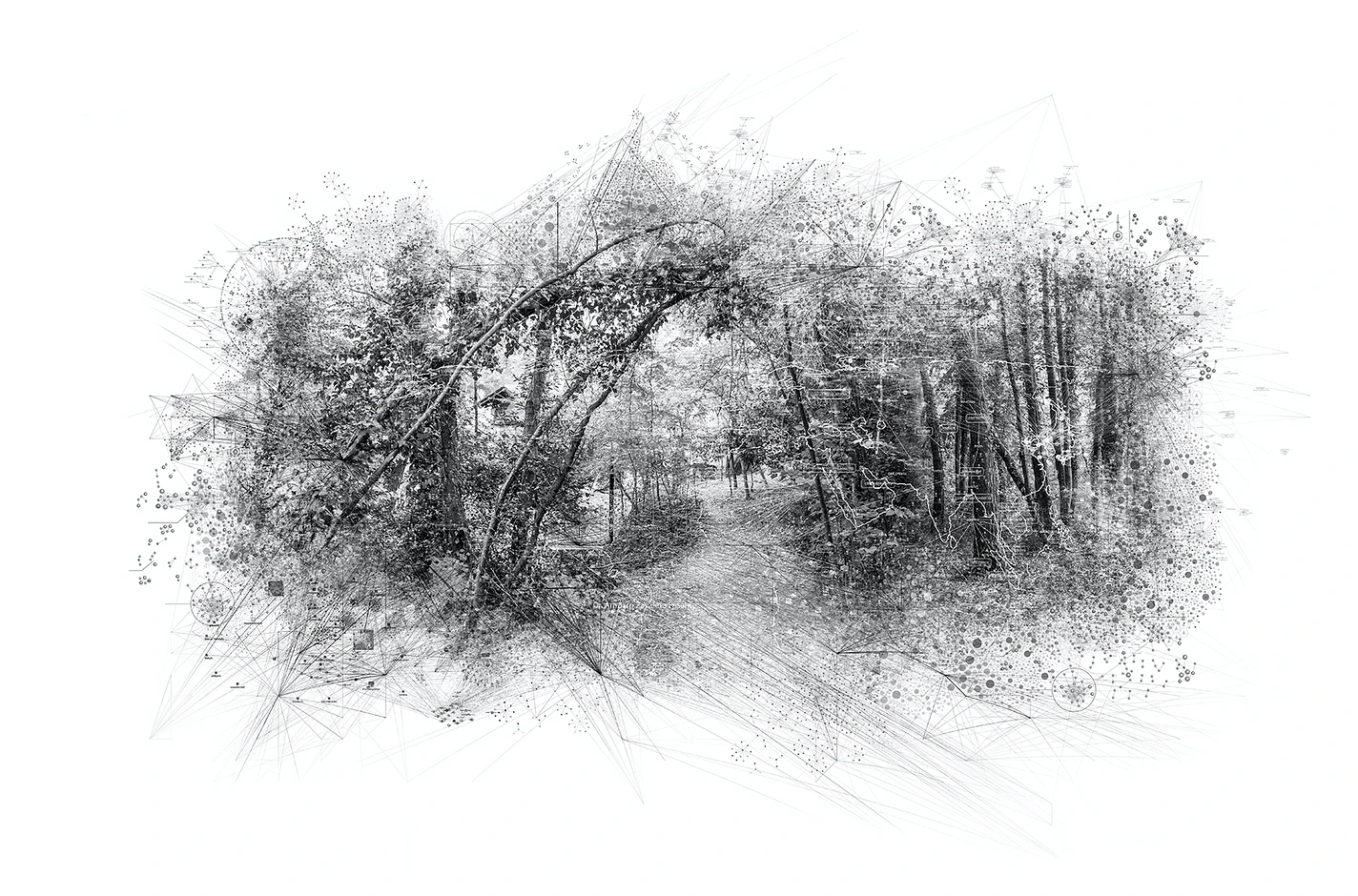 Virtual Landscapes — Ali Alışır