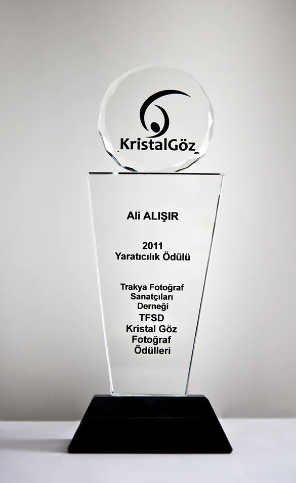 TFSD Photo Festival — Artist Talk, 2011 — Ali Alışır