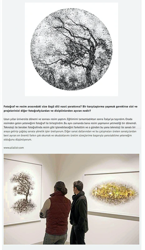 Radikal – 2015 — Ali Alışır