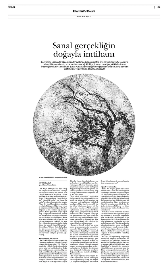 Istanbul Art News – 2015 — Ali Alışır