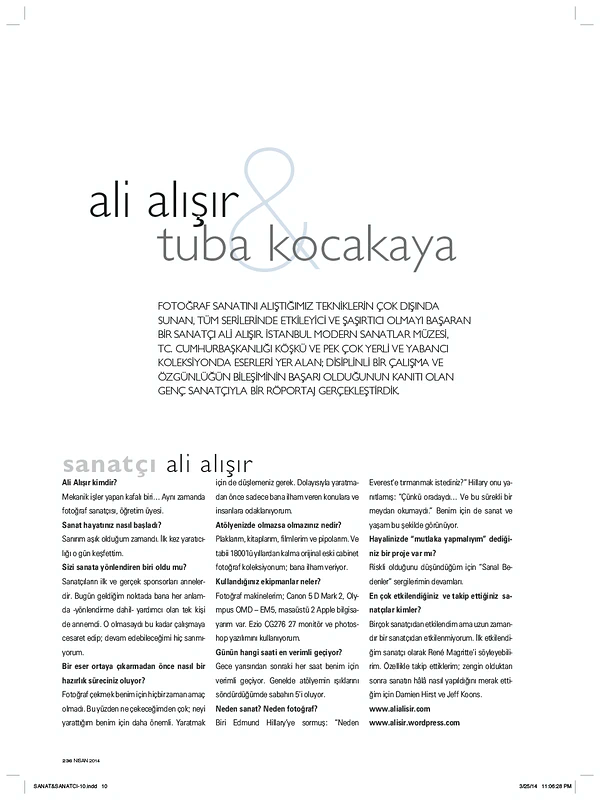 Home Art - 2014 — Ali Alışır
