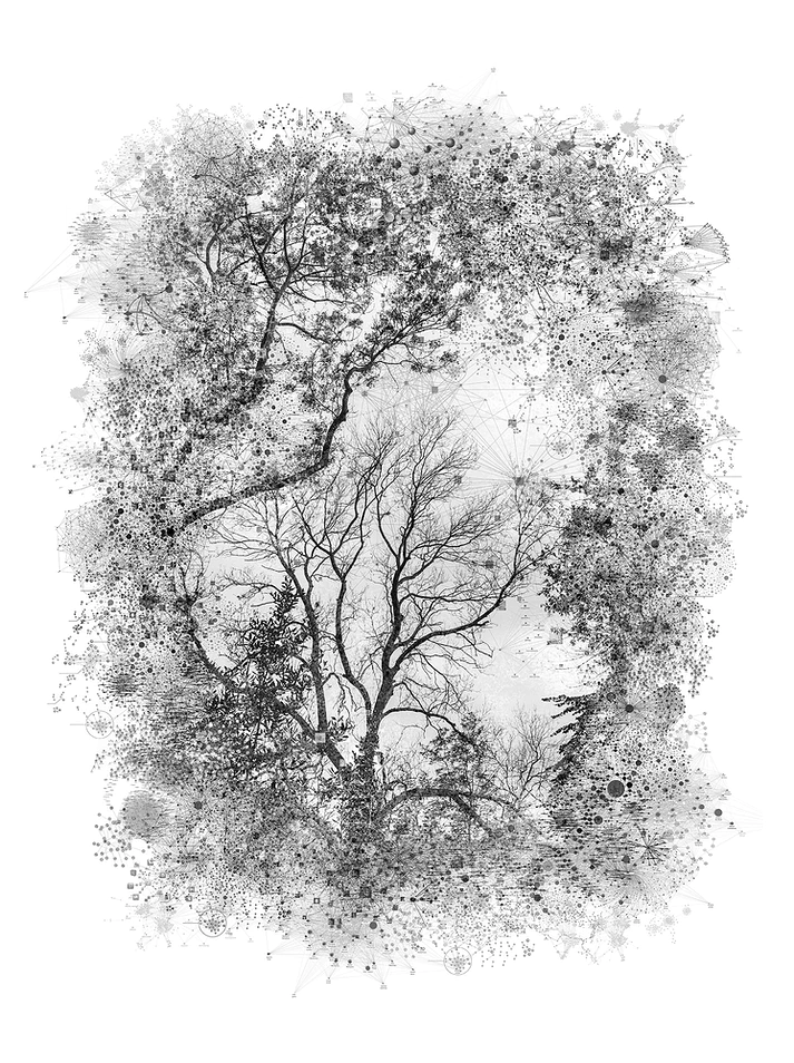 Virtual Landscapes — Ali Alışır