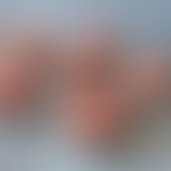 Cupcakes zum Valentinstag <3