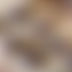 Dattel - Nuss - Praline