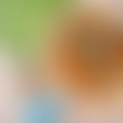 Grüne Bohnen - getrocknete Tomaten - Schafskäse