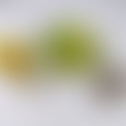 Babyspinat - Rucola - Mango - Avocado