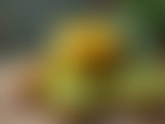 Experience the Unique Taste of Kiwi Jam: Buy Premium Fruit Jam Today!