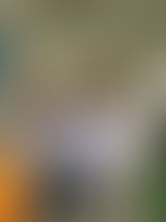 📚✨ ¡Celebramos el Día Mundial del Libro con alegría y propósito!