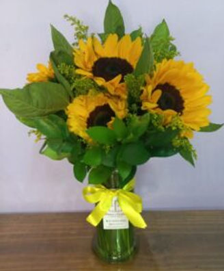 Encontro de Girassois