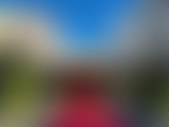tuinfeest De Warande 3 juli 2025