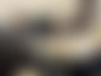 年末12月25日、我が会派と府議会議員の有志で以下の点について省庁ヒアリングと要望、自民党本部に小林鷹之政調会長に陳情に行ってきました。