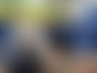 12月12日大阪の未来ネット主催の学習討論会に参加。野々上愛府議会議員と一緒に報告。