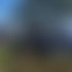 VISTA Celebrated Florida Arbor Day!