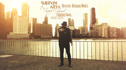 shervin 1