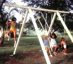 Swing set made with scrap wood from Public Works