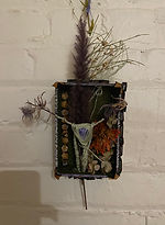 IMG_7420.jpeg