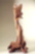 corteza / cortex