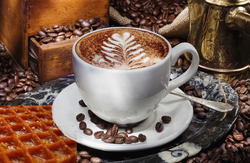 YanYoo Cappuccino