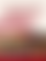 Progetto Orchestra 2025/2026