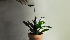 How toxic is your investment portfolio?