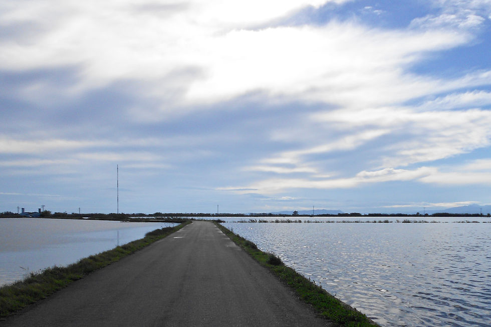 Valencia con vuelta completa a la Albufera