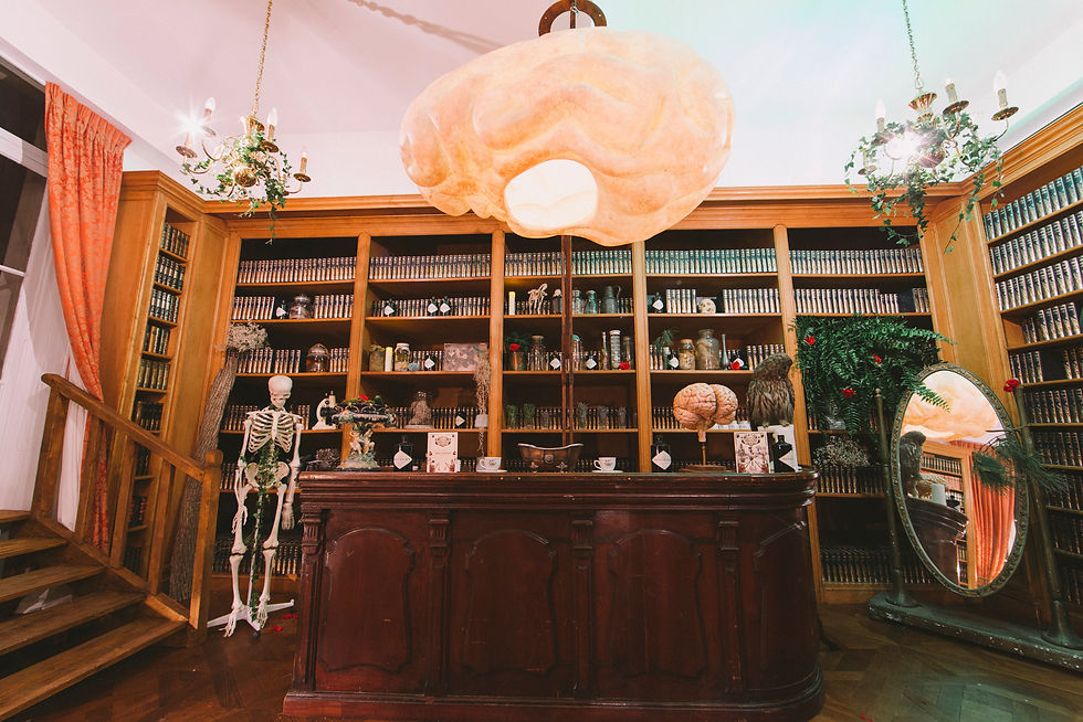 Ephémère : "Chambers of the curious"