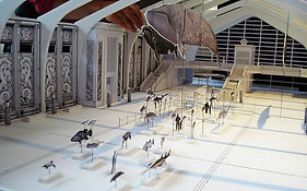 MAQUETTE OCEAN