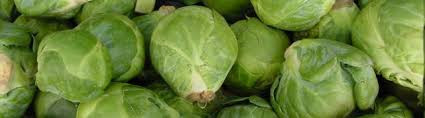 Brussels sprouts.jpeg