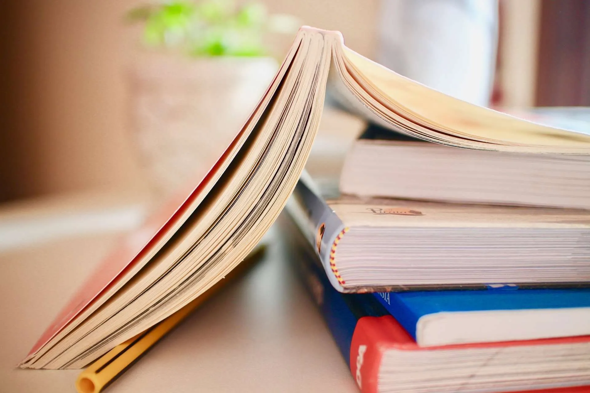 books-2012936_1920.webp