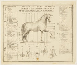 Parties_du_Cheval_dessine%CC%81es____%5B.._edited