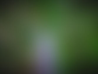 Miraculous Moment #6 - Chapter #3 of - The "First Miraculous Stages" of What Occurred in My Life - Prior to The Dragonfly's Arrival