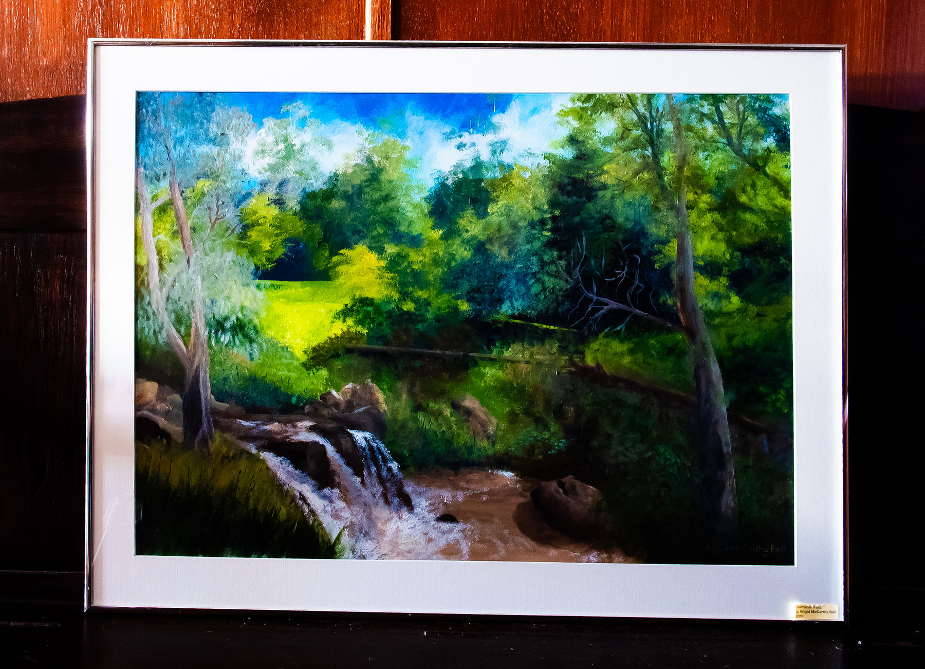 Narracan Falls