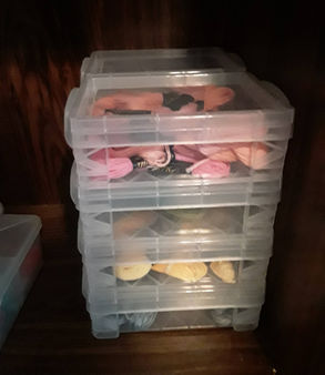 Organizational Storage