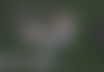 And the Thunder Rolls