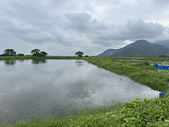 IMG_5204_baja.jpg