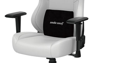 クッション型のランバーサポートを使用するかはお好み