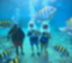 Photo 15-08-2025, 10 20 20 (30).jpg