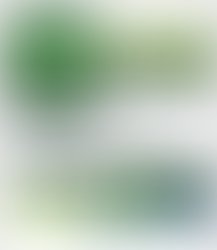 CHWCMR Frist Newsletter for you.